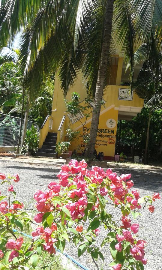 Ever Green Mirissa Bagian luar foto