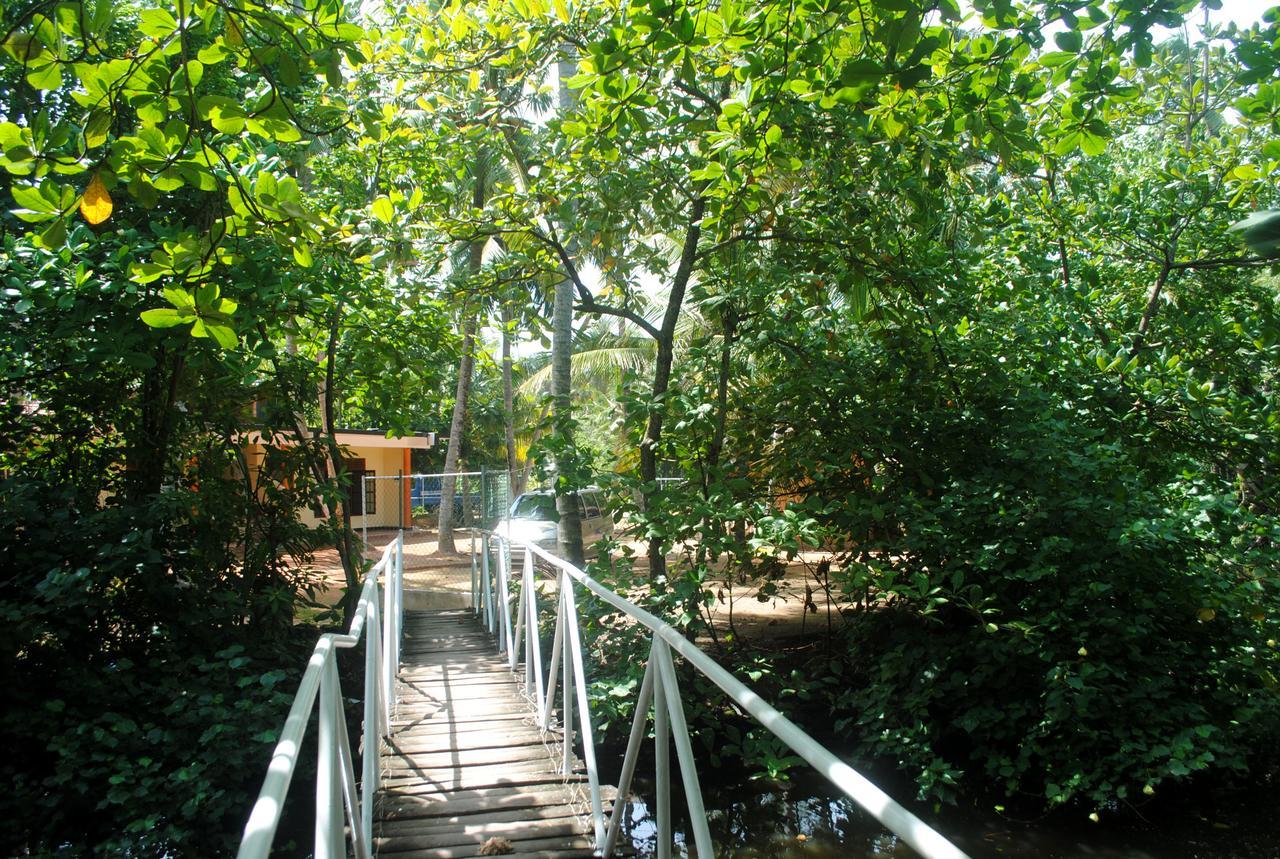 Ever Green Mirissa Bagian luar foto