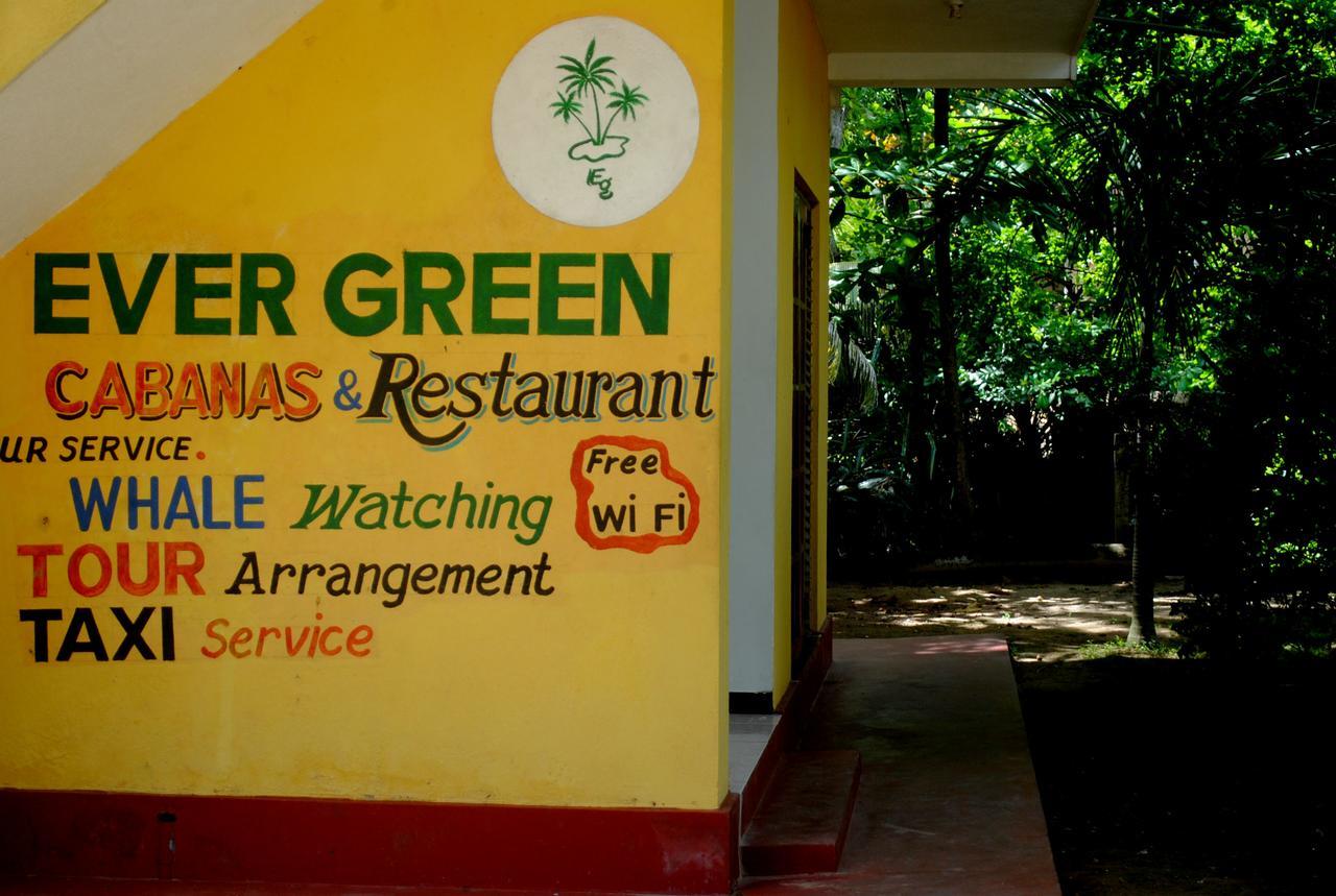 Ever Green Mirissa Bagian luar foto