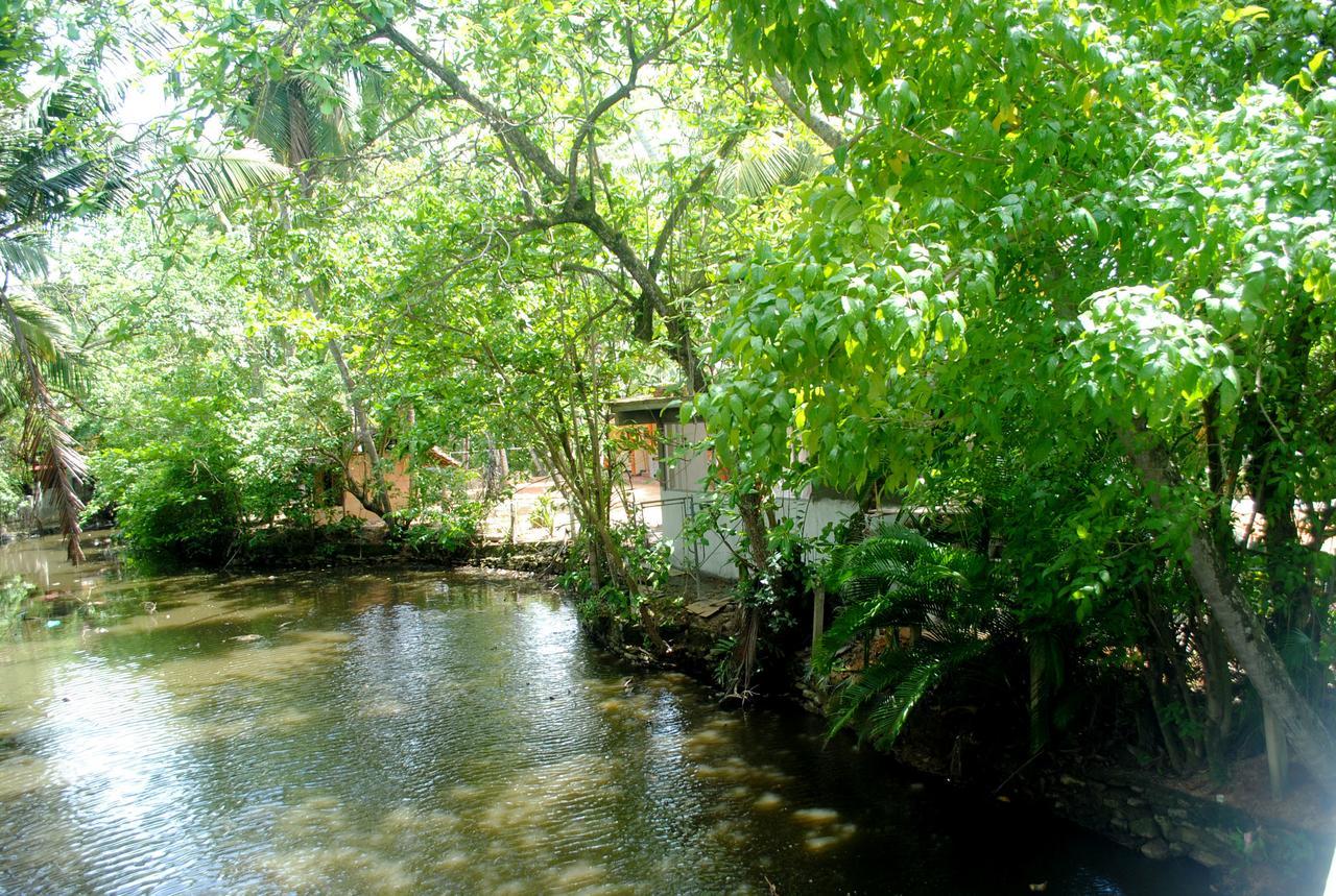 Ever Green Mirissa Bagian luar foto