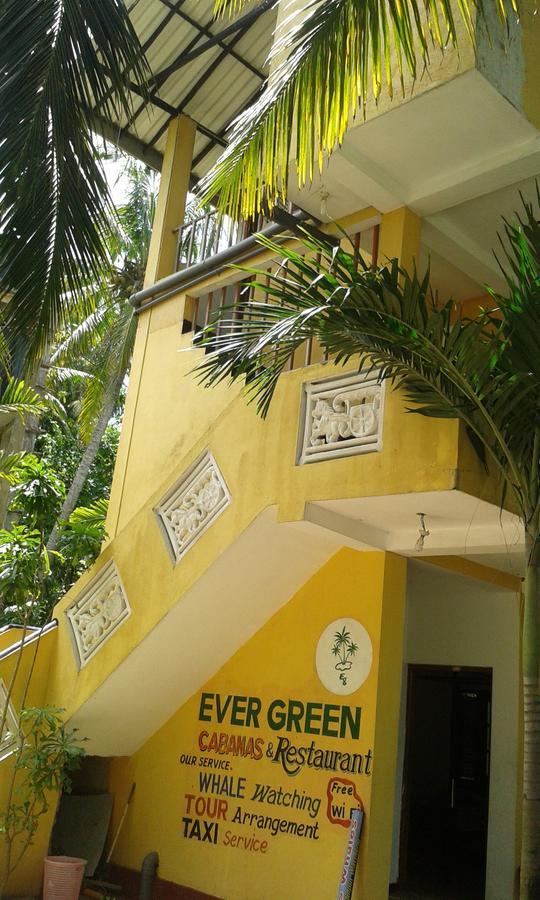 Ever Green Mirissa Ruang foto