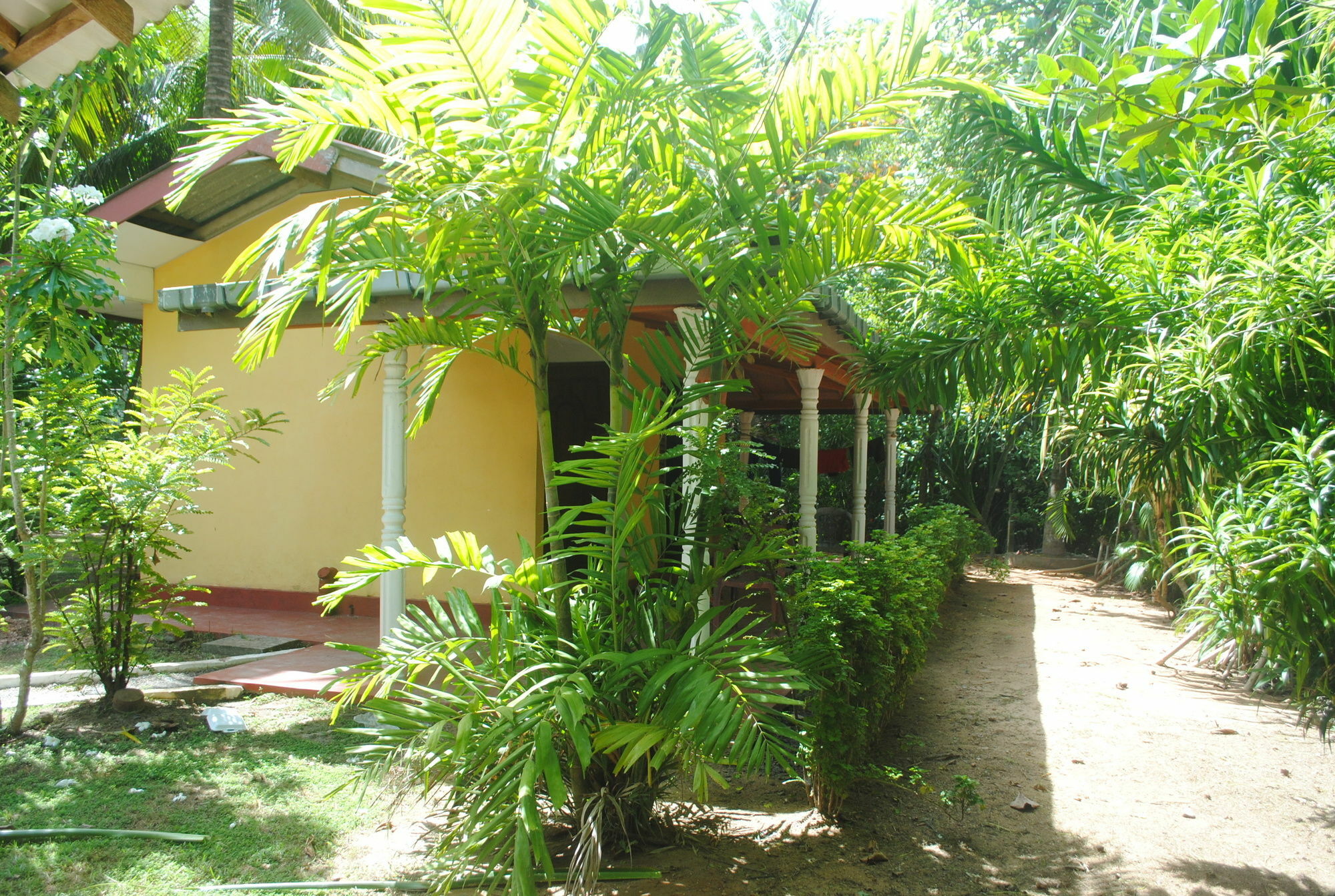 Ever Green Mirissa Bagian luar foto